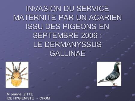 INVASION DU SERVICE MATERNITE PAR UN ACARIEN ISSU DES PIGEONS EN SEPTEMBRE 2006 : LE DERMANYSSUS GALLINAE M Jeanne ZITTE IDE HYGIENISTE - CHGM.