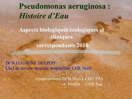 Pseudomonas aeruginosa : Histoire d’Eau