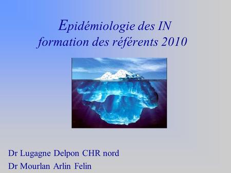 E pidémiologie des IN formation des référents 2010 Dr Lugagne Delpon CHR nord Dr Mourlan Arlin Felin.