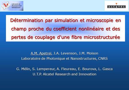 Détermination par simulation et microscopie en champ proche du coefficient nonlinéaire et des pertes de couplage d'une fibre microstructurée A.M. Apetrei,