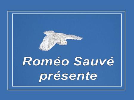 Roméo Sauvé présente.