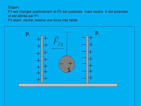 P1P1 P2P2 S Étape1 P1 est chargée positivement et P2 est polarisée mais neutre. S est polarisée et est attirée par P1 P2 étant neutre, exerce une force.