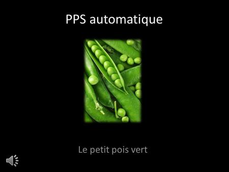 PPS automatique Le petit pois vert.