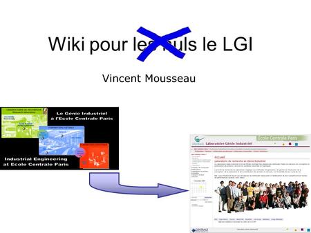 Wiki pour les nuls le LGI