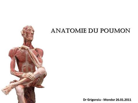 ANATOMIE DU POUMON Dr Grigoroiu - Mondor 26.01.2011.