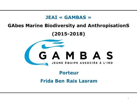 JEAI « GAMBAS » GAbes Marine Biodiversity and AnthropisationS