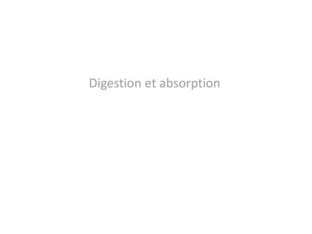 Digestion et absorption
