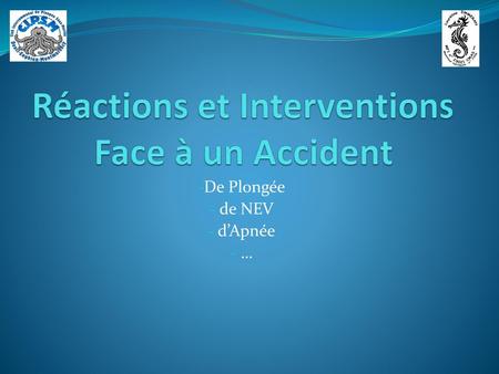 Réactions et Interventions Face à un Accident