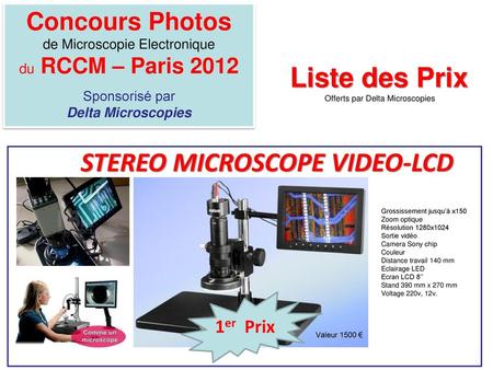 STEREO MICROSCOPE VIDEO-LCD