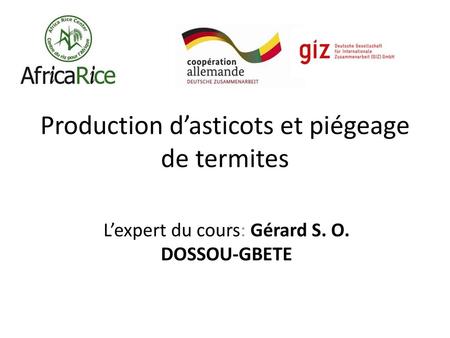 Production d’asticots et piégeage de termites
