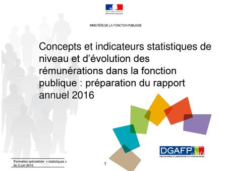 Concepts et indicateurs statistiques de niveau et d’évolution des rémunérations dans la fonction publique : préparation du rapport annuel 2016 Formation.