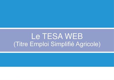 Le TESA WEB (Titre Emploi Simplifié Agricole)