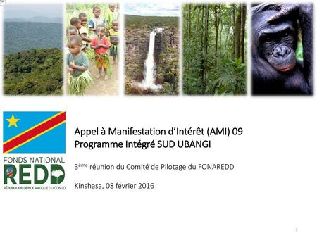 Appel à Manifestation d’Intérêt (AMI) 09 Programme Intégré SUD UBANGI 3ème réunion du Comité de Pilotage du FONAREDD Kinshasa, 08 février 2016 1.