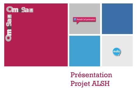 Présentation Projet ALSH