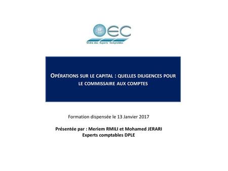 Présentée par : Meriem RMILI et Mohamed JERARI Experts comptables DPLE