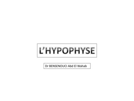 L’HYPOPHYSE Dr BENSENOUCI Abd El Wahab.