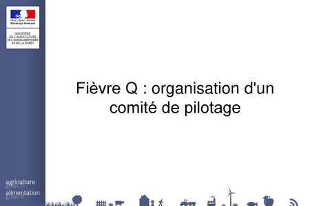 Fièvre Q : organisation d'un comité de pilotage