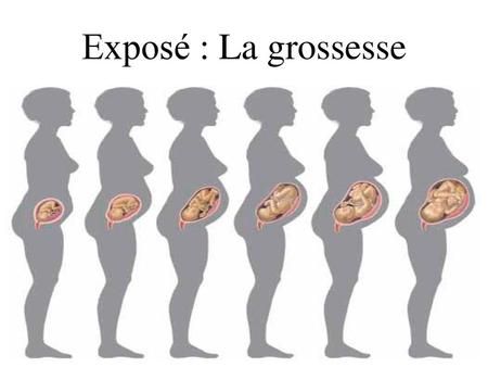 Exposé : La grossesse.