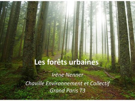 Irène Nenner Chaville Environnement et Collectif Grand Paris T3