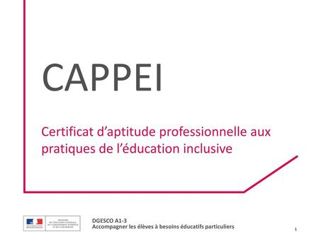 CAPPEI Certificat d’aptitude professionnelle aux pratiques de l’éducation inclusive.
