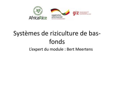 Systèmes de riziculture de bas-fonds