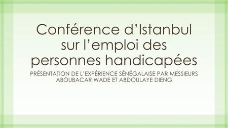 Conférence d’Istanbul sur l’emploi des personnes handicapées