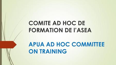 COMITE AD HOC DE FORMATION DE l’ASEA APUA AD HOC COMMITTEE ON TRAINING