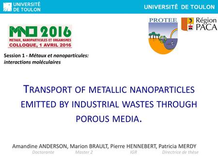 Session 1 - Métaux et nanoparticules: interactions moléculaires