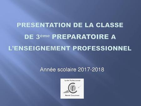 PRESENTATION DE LA CLASSE DE 3ème PREPARATOIRE A L’ENSEIGNEMENT PROFESSIONNEL Année scolaire 2017-2018.