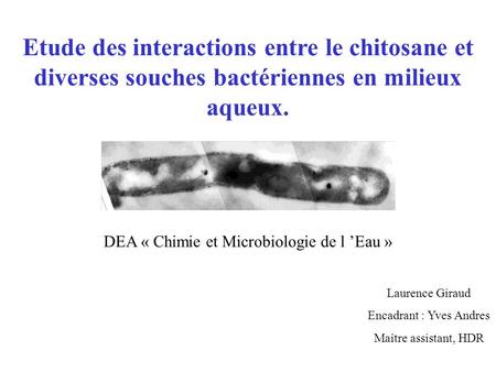 DEA « Chimie et Microbiologie de l ’Eau » Laurence Giraud