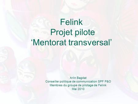 Felink Projet pilote Mentorat transversal Arlin Bagdat Conseiller politique de communication SPF P&O Membres du groupe de pilotage de Felink Mai 2010.