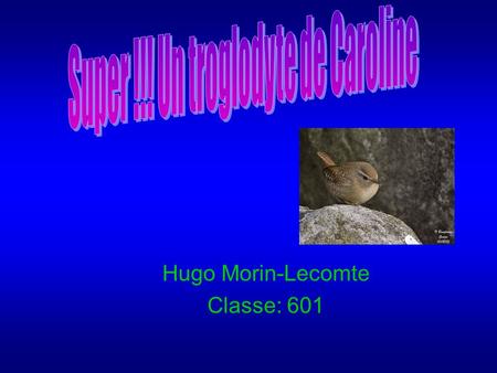 Hugo Morin-Lecomte Classe: 601