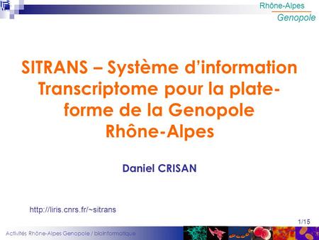 SITRANS – Système d’information Transcriptome pour la plate-forme de la Genopole Rhône-Alpes Daniel CRISAN http://liris.cnrs.fr/~sitrans.