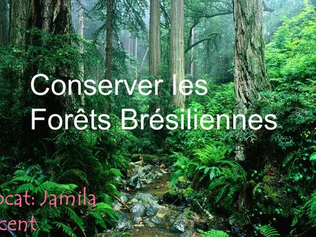 Conserver les Forêts Brésiliennes Avocat: Jamila Vincent.