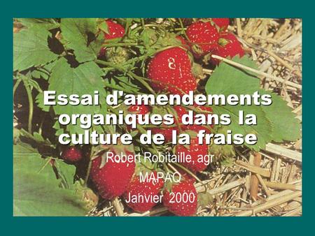 Essai d'amendements organiques dans la culture de la fraise