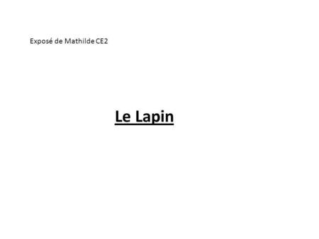 Exposé de Mathilde CE2 Le Lapin.
