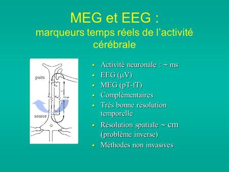 MEG et EEG : marqueurs temps réels de l’activité cérébrale