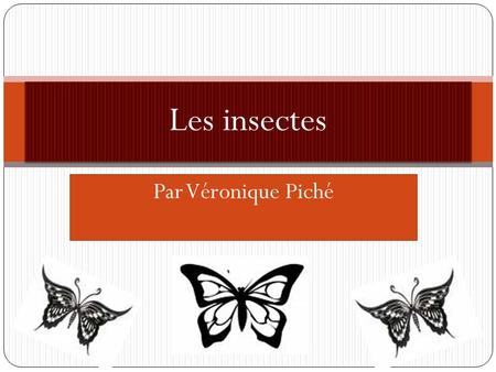Les insectes Par Véronique Piché.