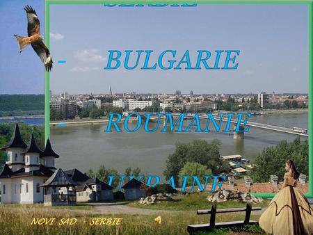 Le Danube est le deuxième plus long cours d'eau dEurope (après la Volga) ( fleuve qui prend sa source en Russie ) et le.