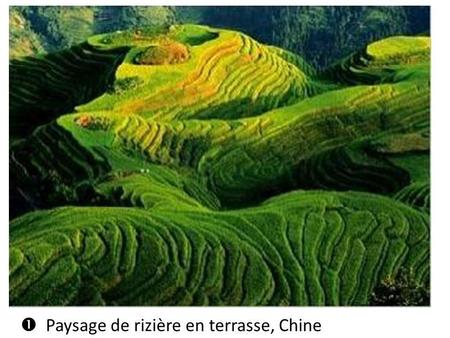   Paysage de rizière en terrasse, Chine