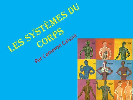 Les systèmes du corps Par Cameron Caissie.