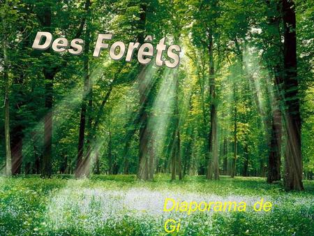 Des Forêts Diaporama de Gi.