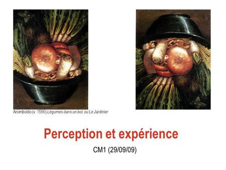 Perception et expérience
