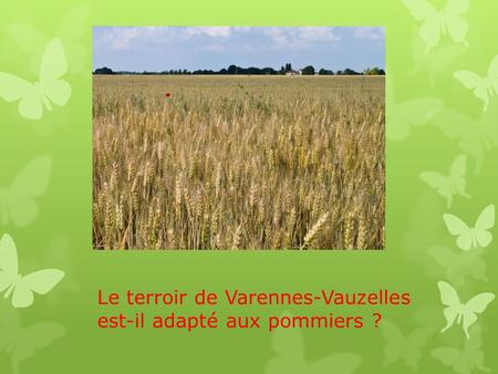 Le terroir de Varennes-Vauzelles est-il adapté aux pommiers ?