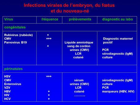 Infections virales de l’embryon, du fœtus