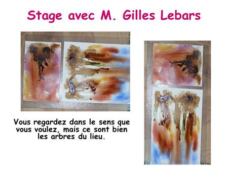 Vous regardez dans le sens que vous voulez, mais ce sont bien les arbres du lieu. Stage avec M. Gilles Lebars.