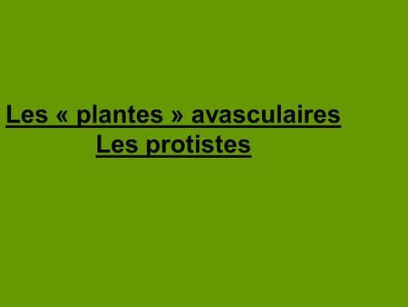 Les « plantes » avasculaires Les protistes