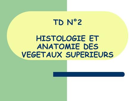 TD N°2 HISTOLOGIE ET ANATOMIE DES VEGETAUX SUPERIEURS