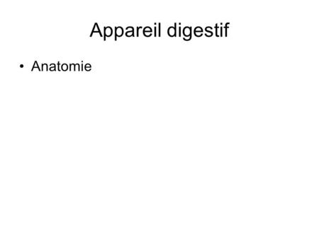 Appareil digestif Anatomie.