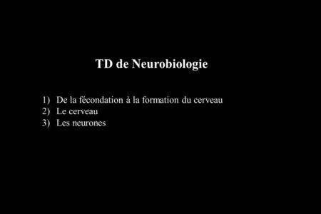 TD de Neurobiologie De la fécondation à la formation du cerveau